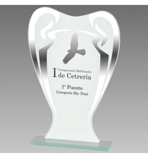 Trofeo Cristal 0811