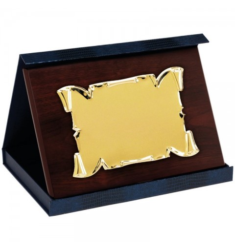 Placa Homenaje 0520