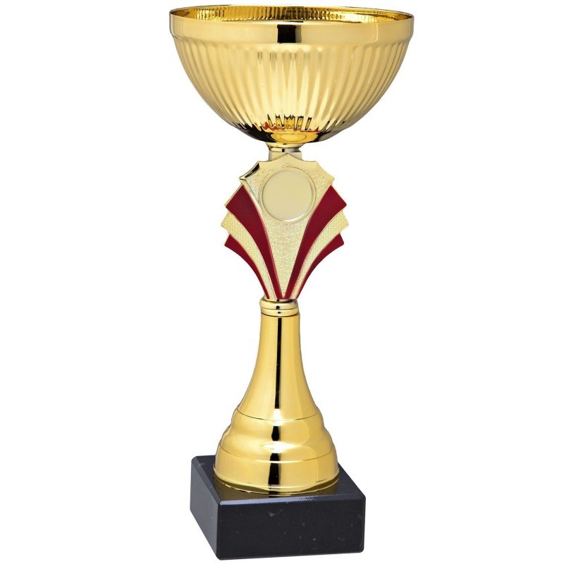 Copa Deportiva 8691