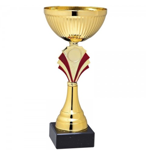 Copa Deportiva 8691
