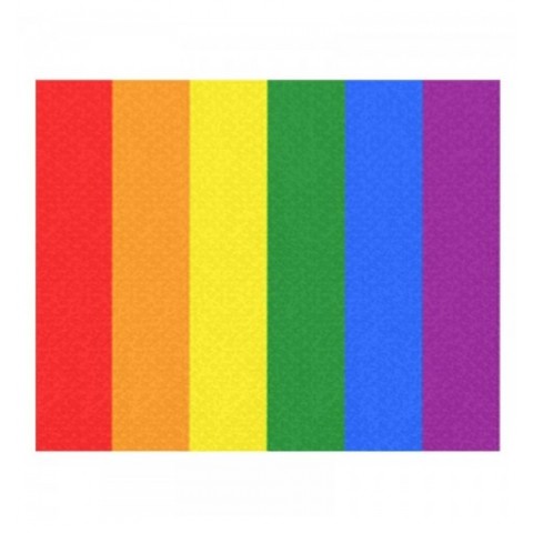 CINTA C/MOSQUETON 10 MM LGTBI