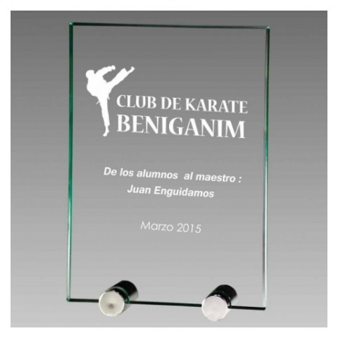 Trofeo Placa Cristal 0800