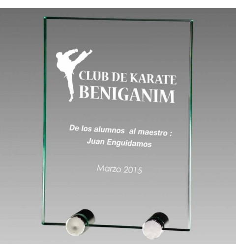 Trofeo Placa Cristal 0800