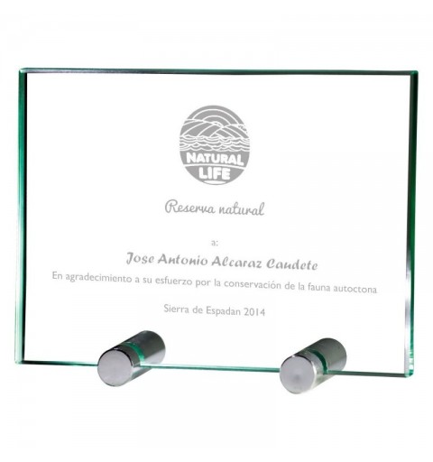 Trofeo Placa Cristal 0800