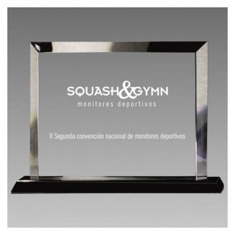 Trofeo Placa Cristal 0775