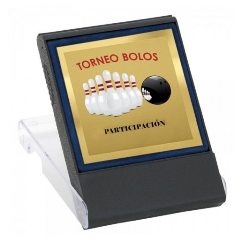 Placa  Homenaje 0290