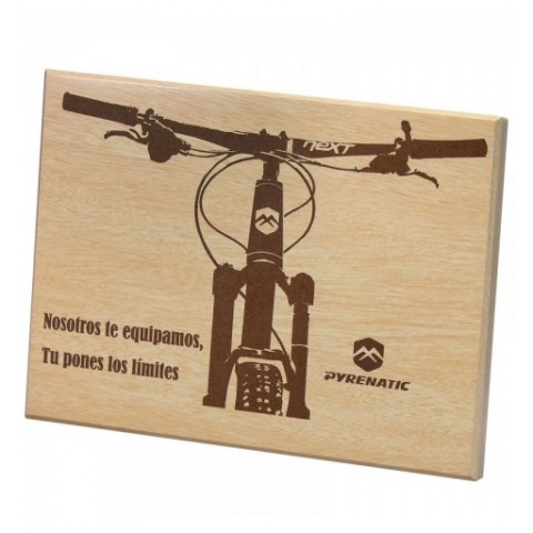 Placa Homenaje NATURE 6271