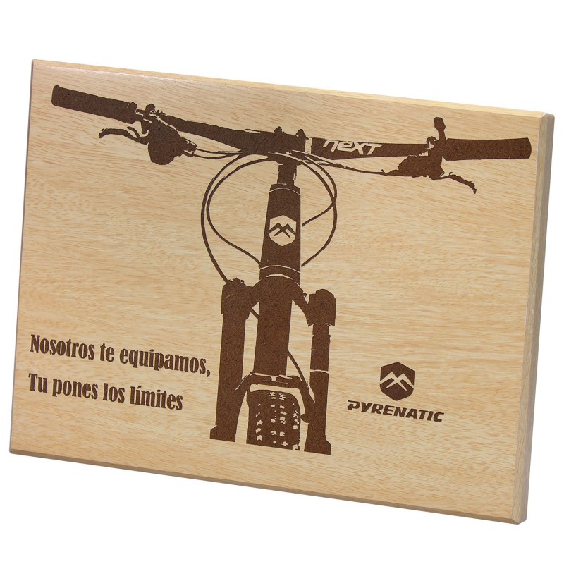 Placa Homenaje NATURE 6271