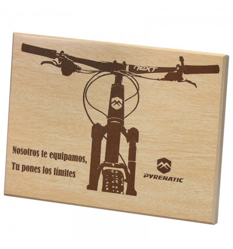 Placa Homenaje NATURE 6271