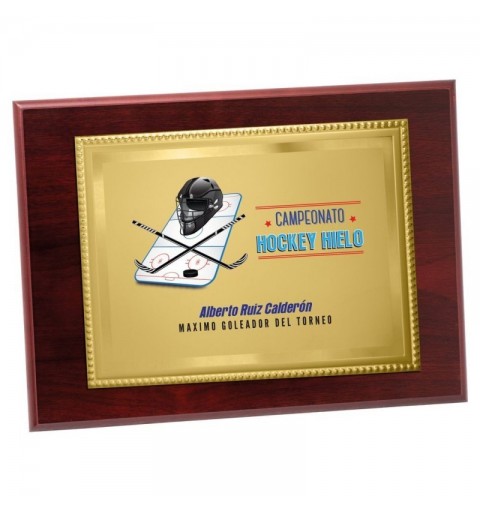 Placa Homenaje 17-131