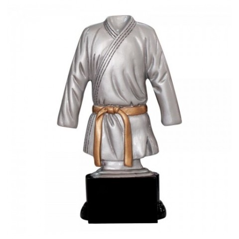 Trofeo de Artes Marciales 6251
