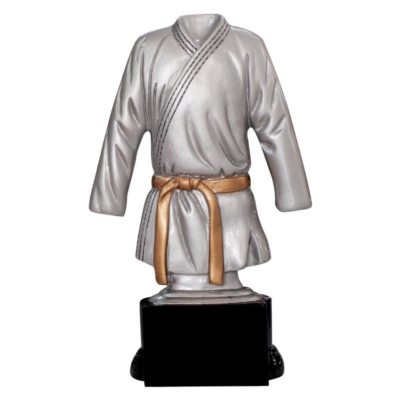 Trofeo de Artes Marciales 6251