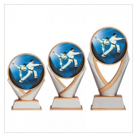 Trofeo Kárate Chicago