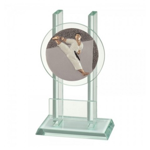 Trofeo Cristal  Disco Karate 0903
