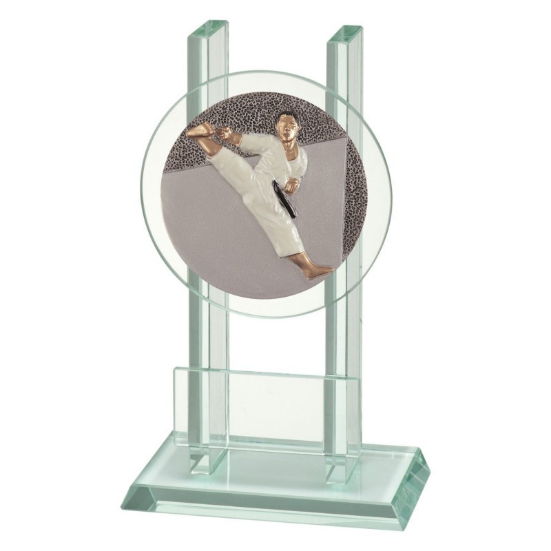 Trofeo Cristal  Disco Karate 0903