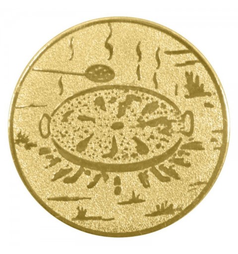 CENTRO Ø25 MM ORO PAELLA - ALU*