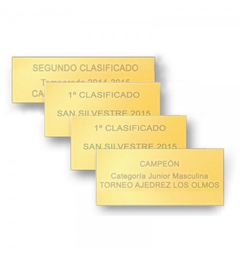 PLAQUITAS DE TROFEOS