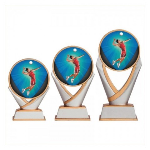Trofeo Voleibol Masculino...