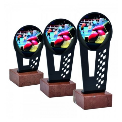 Trofeo Boxeo Metacrilato 0011