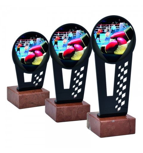 Trofeo Boxeo Metacrilato 0011