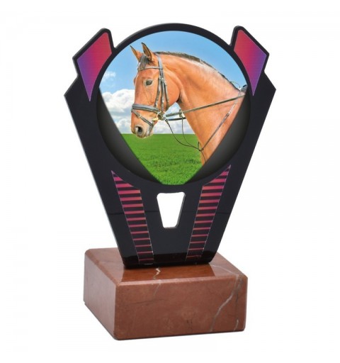Trofeo Hípica Metacrilato 0021