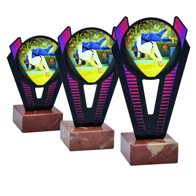 Trofeo Judo Metacrilato 0021