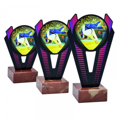Trofeo Judo Metacrilato 0021