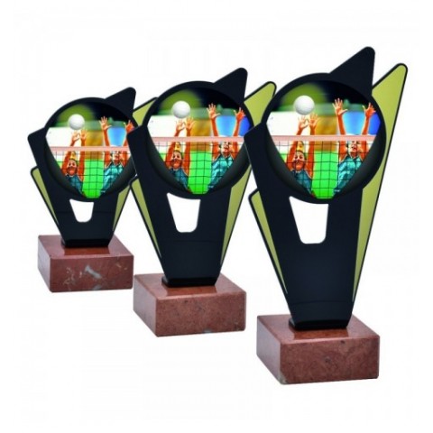 Trofeo Voleibol Femenino...