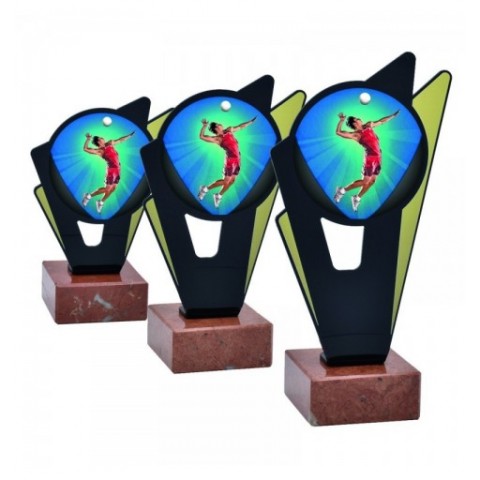 Trofeo Voleibol Masculino...