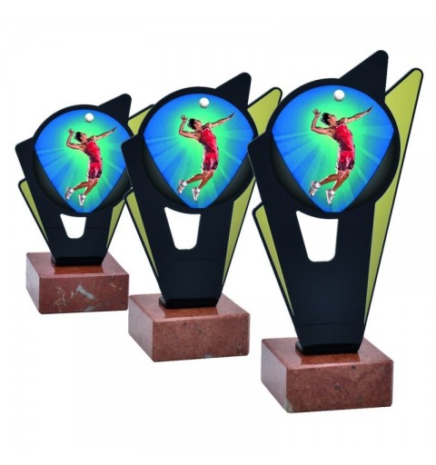 Trofeo Voleibol Masculino Metacrilato 0031