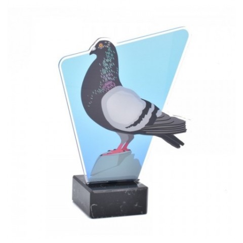 Trofeo Metacrilato Colombicultura