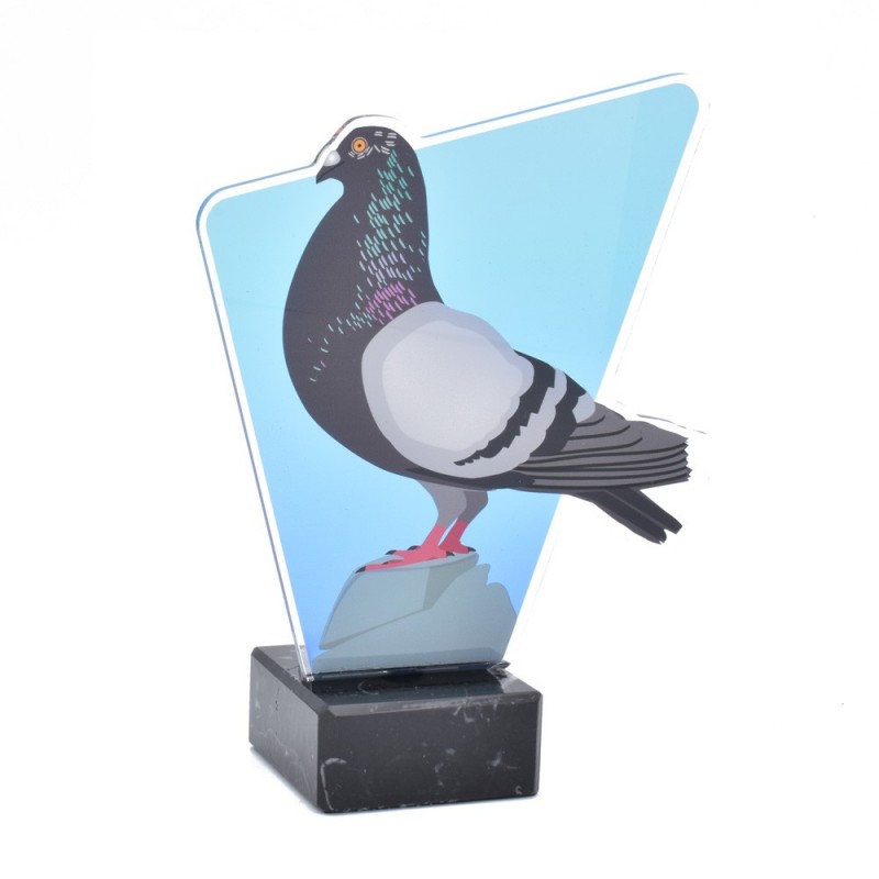 Trofeo Metacrilato Colombicultura