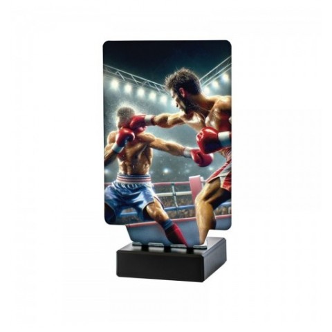 Trofeo Boxeo Aura