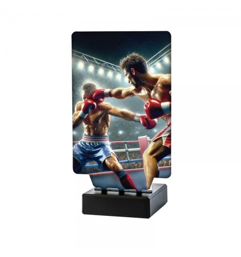 Trofeo Boxeo Aura
