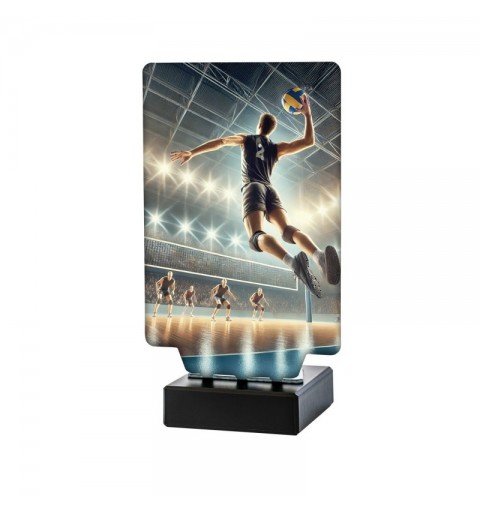 Trofeo Voleibol Masculino Aura