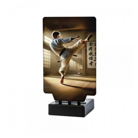 Trofeo Kárate Masculino Aura