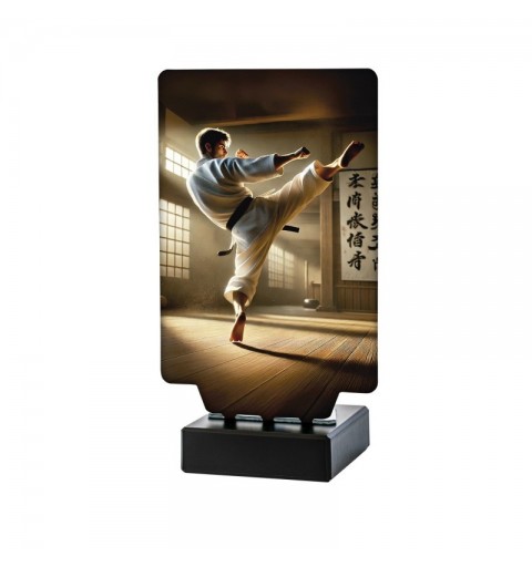 Trofeo Kárate Masculino Aura