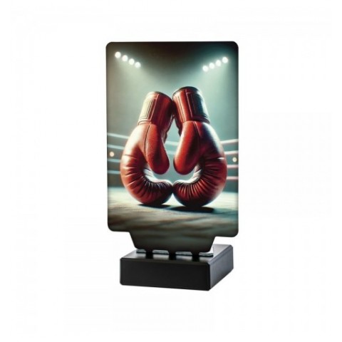 Trofeo Boxeo Guantes Aura