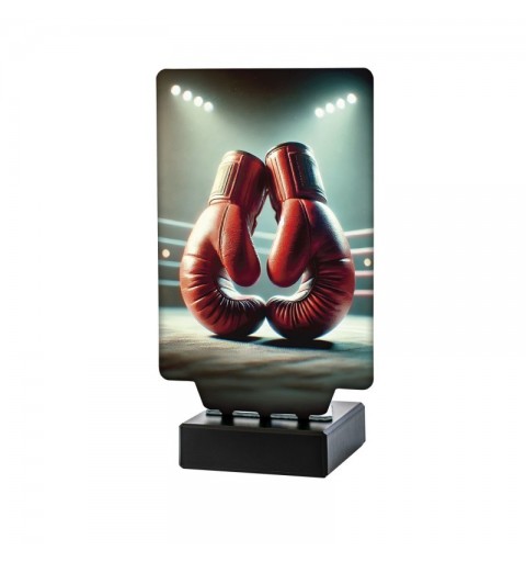 Trofeo Boxeo Guantes Aura