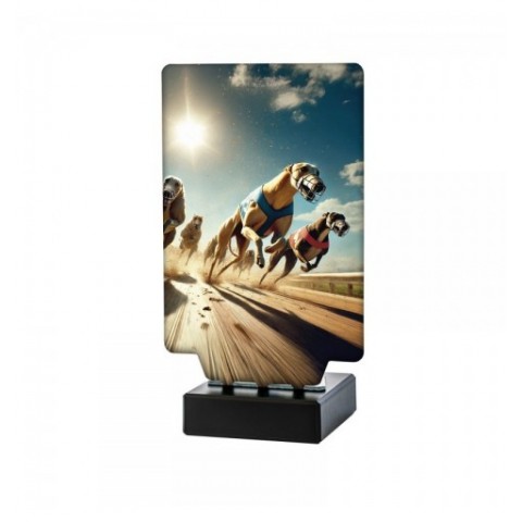 Trofeo Galgos Carrera Aura