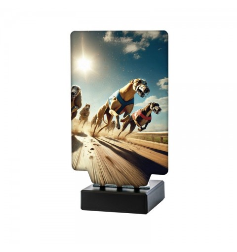 Trofeo Galgos Carrera Aura