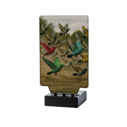 Trofeo Colombicultura Aura