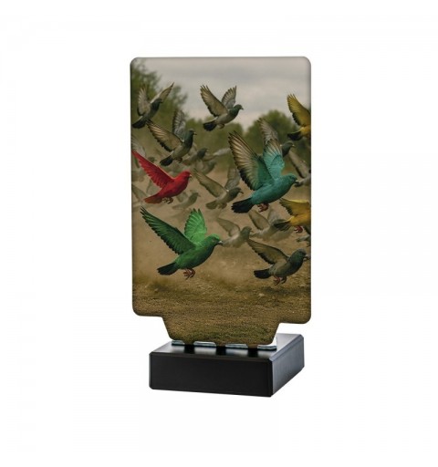 Trofeo Colombicultura Aura