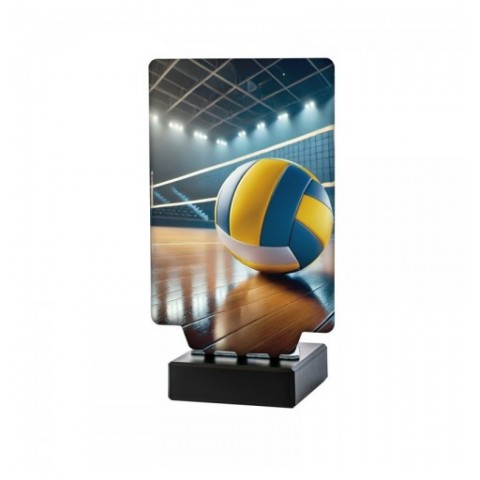 Trofeo Voleibol Aura