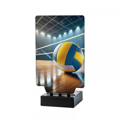 Trofeo Voleibol Aura