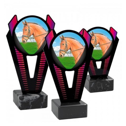 Trofeo Hípica Metacrilato 0021