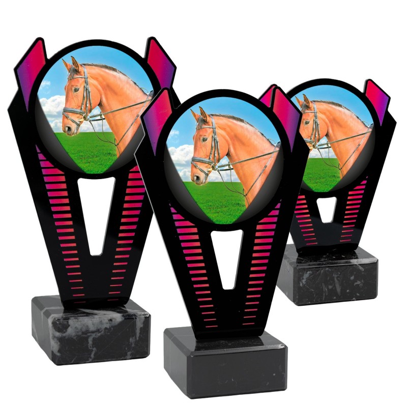 Trofeo Hípica Metacrilato 0021