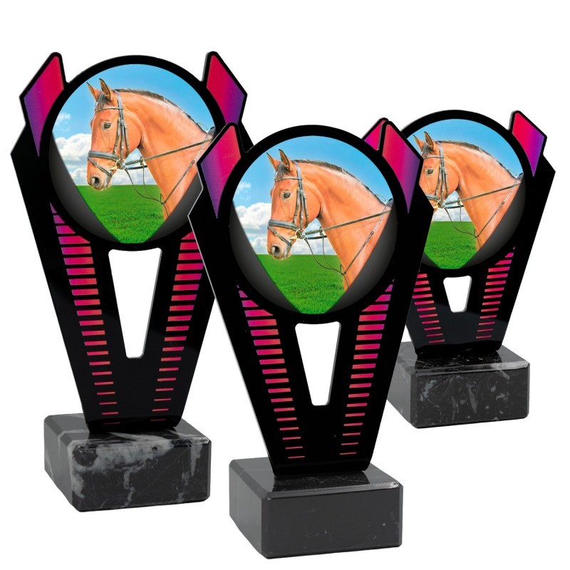 Trofeo Hípica Metacrilato 0021