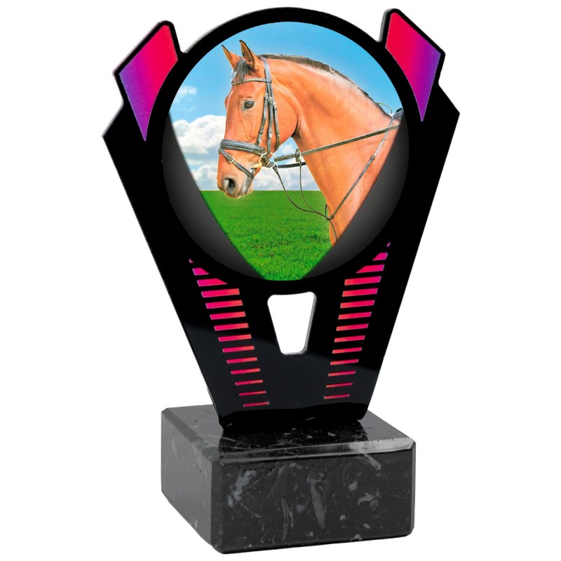 Trofeo Hípica Metacrilato 0021