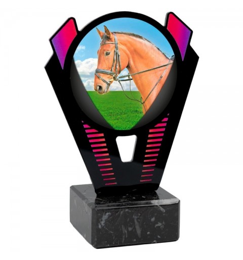 Trofeo Hípica Metacrilato 0021